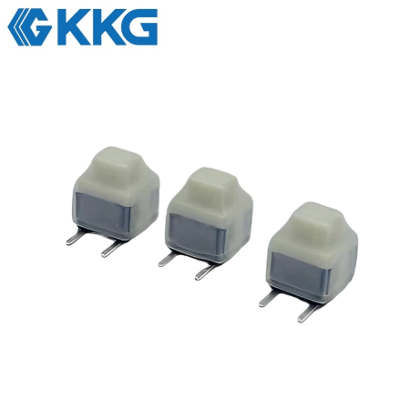 2P Psuh Button Switch