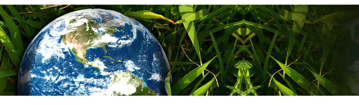 Eco-solutions