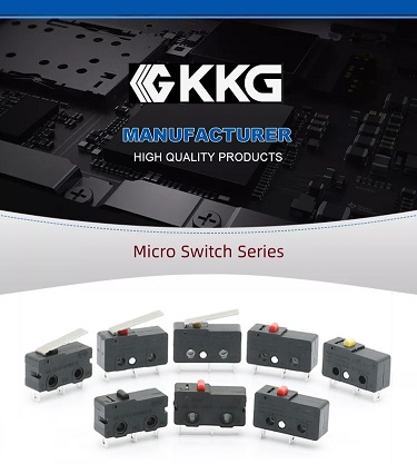 Waterproof Micro Switch